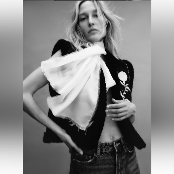 ZARA NWT EMBROIDERED VEST🔥 - Picture 4 of 9